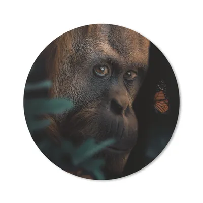 Produktbild von MuchoWow® Mauspad Mousepad Schmetterling - Affe - Pflanzen 20x20 cm - Mousepads - Maus Mat - Pad - Mausunterlage - Schreibtischmatte