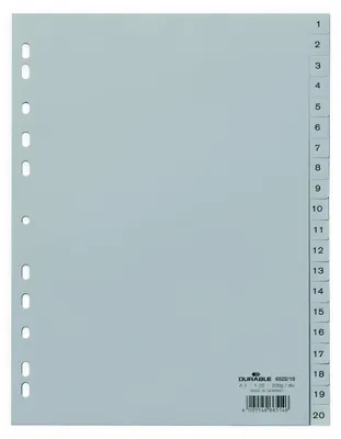 Image de Intercalaire A4 1-20 PP gris Paquet de 20