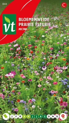Image de Espace Fleuri Nectar Graines - Environ 15 graines | VT_844