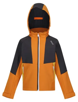 Obrázek produktu pro Regatta, pánská softshellová bunda Haydenbury, barva: oranžová (Pepper) / šedá (Seal Grey)