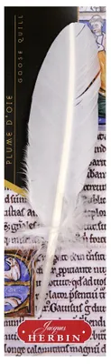 Produktbild von Herbin Gänsefeder 21cm weiß 3188552233019