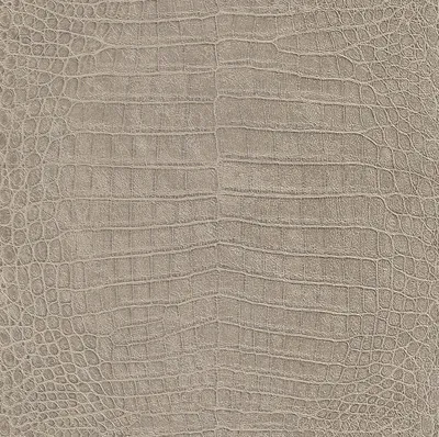 Produktbild von Vliestapete beige metallic Krokodilleder Struktur Rasch African Queen 2 474138
