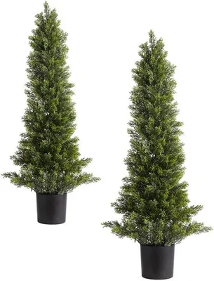Obrázek produktu pro Umělé cedrové stromy, sada 2 kusů, výška 914 mm. Realistické listy, snadná montáž. Vhodné pro balkony, terasy, zahrady, interiéry nebo kanceláře