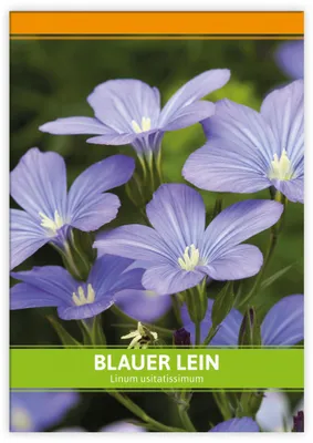 Artikelbild 1 von 'Blauer Lein für Werbezwecke' aus der Kategorie Saatgut für Werbezwecke