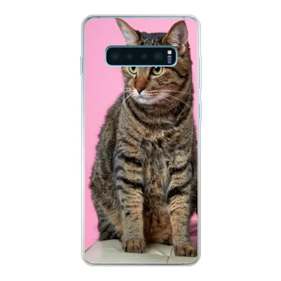 Produktbild von MuchoWow® Handyhülle Schutzhülle Hülle für Samsung Galaxy S10 Lite Katze - Rosa - Pouf - Mädchen - Kinder - Kinder Silikon Softcase Handy Hülle - Schutz