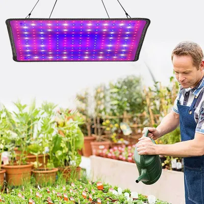 A man watering plants in a greenhouse under a grow light.
