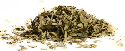 Produktbild von Curryblätter ganz (23,27 €/100g) getrocknet - Curry Blatt - Curry Leaves - Gewürz - 15g
