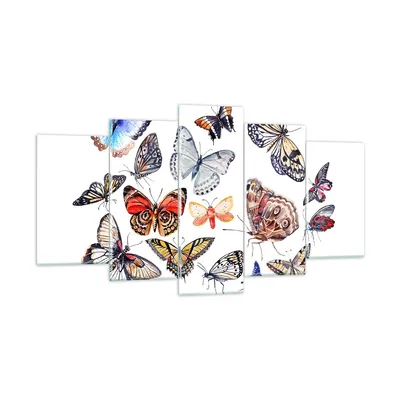 Produktbild von Bilder auf glas - Schmetterlinge Illustration Bunt Flügel - 160x85cm - Glasbilder - Wandbilder - Kunstdruck - Wanddekoration aus Glas - Glas Bilder - Wandbild auf Glas - GEA160x85-2916