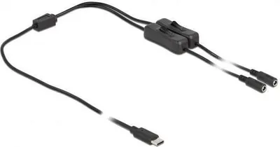 Image de Câble USB-C vers 2x DC 5,5 x 2,1 mm avec interrupteur, 1 m, noir