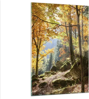 Produktbild von Bilder auf glas - Einteilig - Herbst berg wald natur - 80x120cm - Glasbilder - Wandbilder - Bilder - zum Aufhängen bereit - Wanddekoration aus Glas - Glas Bilder - Wandbild auf Glas - GPA80x120-2713
