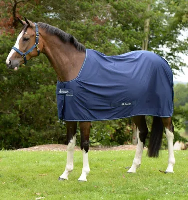 Produktbild von Bucas Multifunktionsdecke Shamrock Power Navy/Silver 145