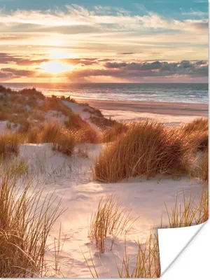 Produktbild von MuchoWow® Poster Düne - Pflanzen - Sonnenuntergang - Strand - Meer 90x120 cm - Wohnzimmer