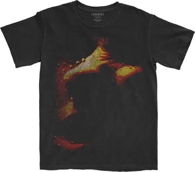 Produktbild von Paramore - "This Is Why" T-Shirt für Herren/Damen Uni RO4270 (M) (Schwarz)