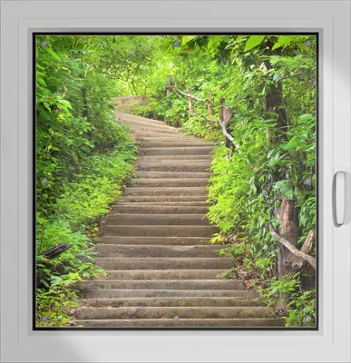 Produktbild von Wallario Lichtschutzbild, Dekorativer Sichtschutz Sonnenschutz 96 x 100 cm mit Motiv: Steintreppe im Wald - Verdunklung ohne Bohren