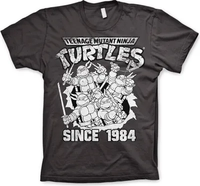 Produktbild von TMNT Distressed Since 1984 T-Shirt - X-Large - Dark-Grey