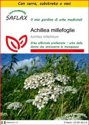 Immagine prodotto di SAFLAX Insieme di coltivazione - Achillea millefoglie - 200 semi - Achillea