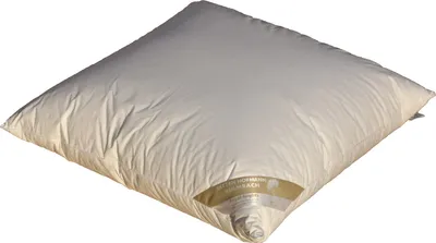 Produktbild von Hofmann Franken kuschelweiches Daunenkissen Kopfkissen 80x80 cm 550g 100% Daunen