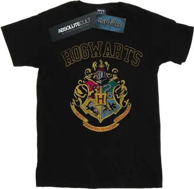 Produktbild von Harry Potter - T-Shirt für Herren BI30117 (4XL) (Schwarz)