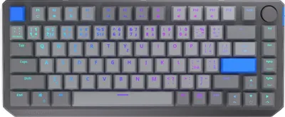 Obrázok produktu pre Podpora Thock V2 75% Wireless CZ