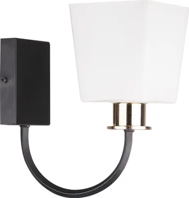 Zdjęcie produktu dla Kinkiet SCHUBERT 1X40W E27 CZARNY 21-74225 Candellux