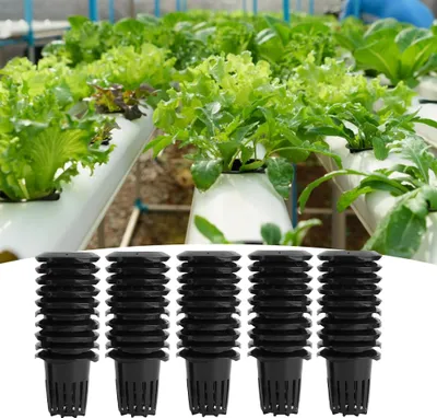 Image de 50Pcs Greenhouse PP Soilless Hydroponics Mesh Pot Flower Plant Growing Basket NetNoir