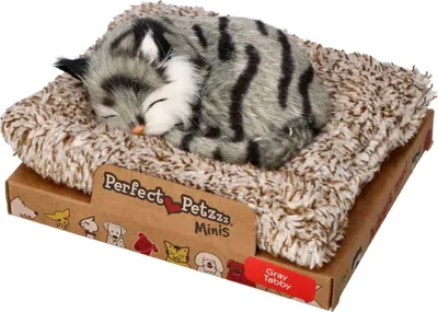 Produktbild von Perfect Petzzz Kleines grau gestromtes Kätzchen 13 cm