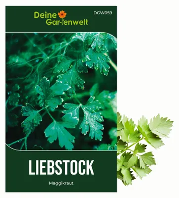 Produktbild von Liebstock Maggikraut Samen - Levisticum officinale - Liebstocksamen - Kräutersamen - Saatgut für 30 Pflanzen