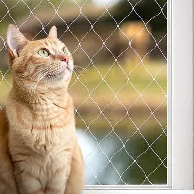 Produktbild von Katzennetz Balkon Sicherheitsnetz 3x4 m, wetterfest, mit Montagematerial, ohne Bohren