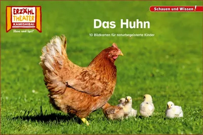Produktbild von Das Huhn / Kamishibai Bildkarten