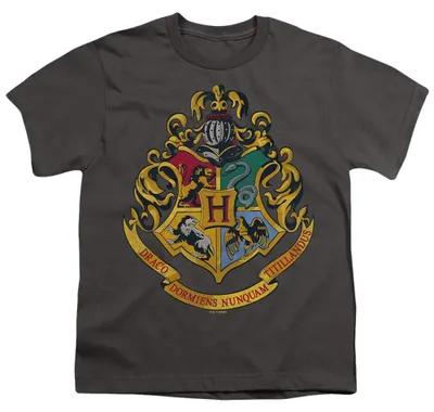 Produktbild von Harry Potter - "Hogwarts" T-Shirt für Kinder TV36295 (128) (Holzkohle)