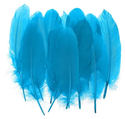 300 natürliche Gänsefedern, 10-17 cm, gemischte Farben, Basteln