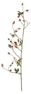 Image de Countryfield Branche artificielle Cynorhodon orange 3,8 x 5 x 108 cm