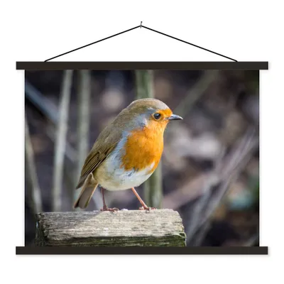 Produktbild von MuchoWow® Textilposter Rotkehlchen - Winter - Holz 60x45 cm mit schwarzem Rahmen - Poster Schlafzimmer