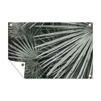 Obrázek produktu pro MuchoWow® Zahradní plakáty - Listy - zelené - palma - 60x90 cm - Zahradní dekorace