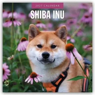 Produktbild von Shiba Inu 2027 - 16-Monatskalender