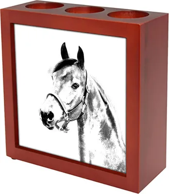 Productafbeelding van Morgan raspaard pennenhouder met punt Art-Dog