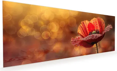 Produktbild von Küchenrückwand Spritzschutz Glas mit Motiv Blühende Mohnblume 40 x 40 cm
