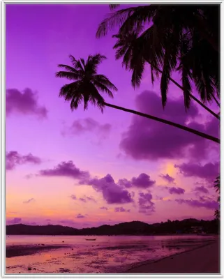 Produktbild von Wallario Wandbild Sonnenuntergang unter Palmen  Himmel in lila und orange, Größe: 40,30 x 50,30 cm, Poster mit weißem Aluminiumrahmen