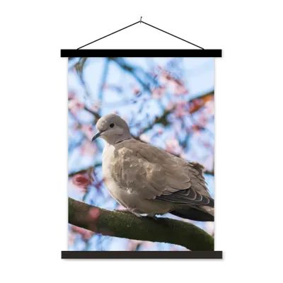 Produktbild von MuchoWow® Textilposter Vogel - Blumen - Taube - Blütenzweige - Rosa 60x80 cm mit schwarzem Rahmen - Plakathalter