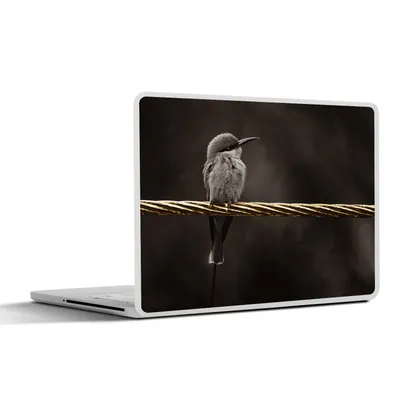 Produktbild von MuchoWow® Laptop Aufkleber Sticker Cover Vogel - Schwarz - Gold 40x30 cm - Laptop Dekoration - Selbstklebend