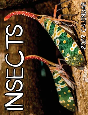 Produktbild von Insects 2027 Calendar