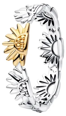 Zdjęcie produktu dla PANDORA JEWELRY, model 164702C00-56