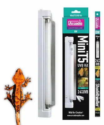 Produktbild von Arcadia Mini T5 Kit Lampe für baumbewohnende Reptilien | 8W 2,4% UVB / 12% UVA / SET