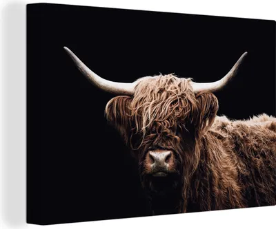 Produktbild von OneMillionCanvasses® - Leinwandbilder - 140x90 cm, Schottisches Hochlandrind - Schwarz - Horn, Wandbilder Wohnzimmer Hochland Rind - Tier Wanddekoration - Hochland Rind - Kuh - Gemälde auf Holzrahmen