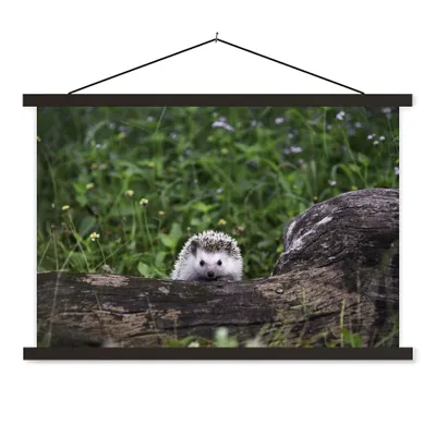 Produktbild von MuchoWow® Textilposter Kleiner Igel auf Baumstumpf 150x100 cm mit schwarzem Rahmen - Schlafzimmer