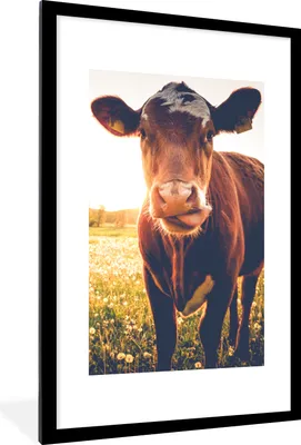 Produktbild von MuchoWow® Gerahmtes Poster Kuh - Sonnenuntergang - Blumen - Gras - Tiere 60x90 cm - Poster mit Schwarzem Bilderrahmen Wandposter Rahmen Foto Bilder - Dekoration - Wandposter Wohnzimmer - Hochwertig