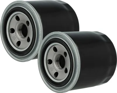 Produktbild von vhbw 2x Ölfilter kompatibel mit NEUSON 8000 8002