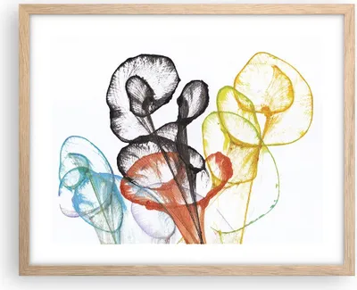 Produktbild von Gerahmtes Poster - Rahmen in heller Eiche - Blumen Abstraktion Surrealismus - 50x40 cm - Wand Bild - Wanddeko - Wandbilder - Kunstposter - Wandposter - Bilderrahmen - Bilder - P2NAA50x40-4444