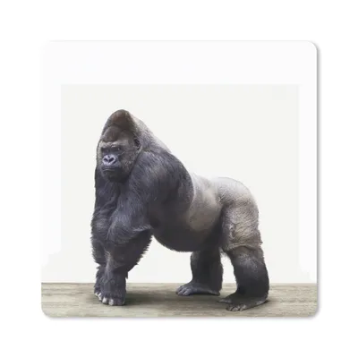 Produktbild von MuchoWow® Mauspad Mousepad Tier - Gorilla - Affe 20x20 cm - Mousepads - Maus Mat - Pad - Mausunterlage - Desk Mat - Bureauartikeln