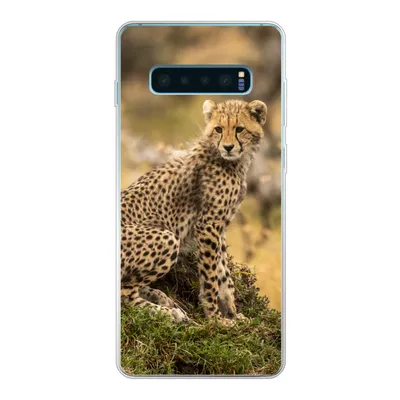 Produktbild von MuchoWow® Handyhülle Schutzhülle Hülle für Samsung Galaxy S10 Lite Leopard - Wald - Tier Silikon Softcase Handy Hülle - Schutz